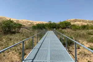 Тропа ящериц